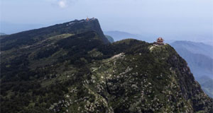 峨眉山山頂杜鵑花綻放