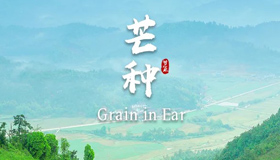 【雙語(yǔ)海報(bào)】芒種：忙有所獲，種有所得