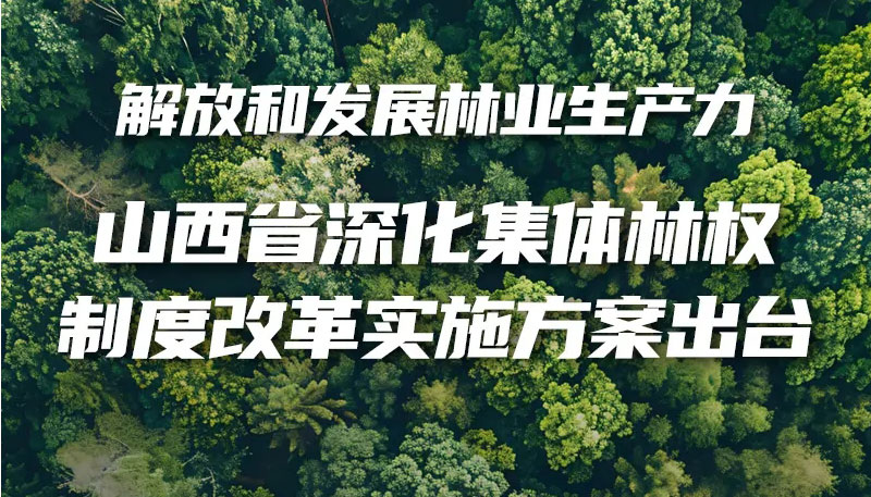 【圖解】山西省深化集體林權(quán)制度改革實(shí)施方案出臺