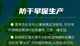 【海報】科學(xué)應(yīng)對旱澇！山西印發(fā)預(yù)案奪取糧食豐收