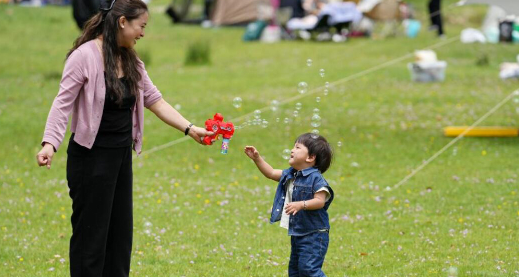 西藏林周縣：“神秘樹林”游客多