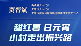 【海報】看人大代表如何建言獻策，點亮發(fā)展之路！