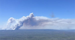 加拿大西部地區(qū)高溫干旱野火蔓延