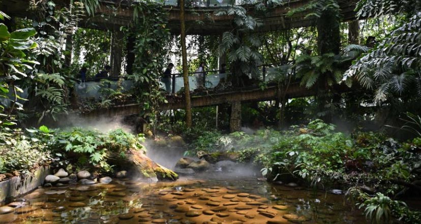 走進昆明植物園“扶荔宮”