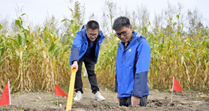  科技賦能助力糧倉豐收